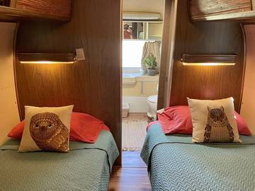 Camping for 2 Guests in Texas, USA, Picture 1