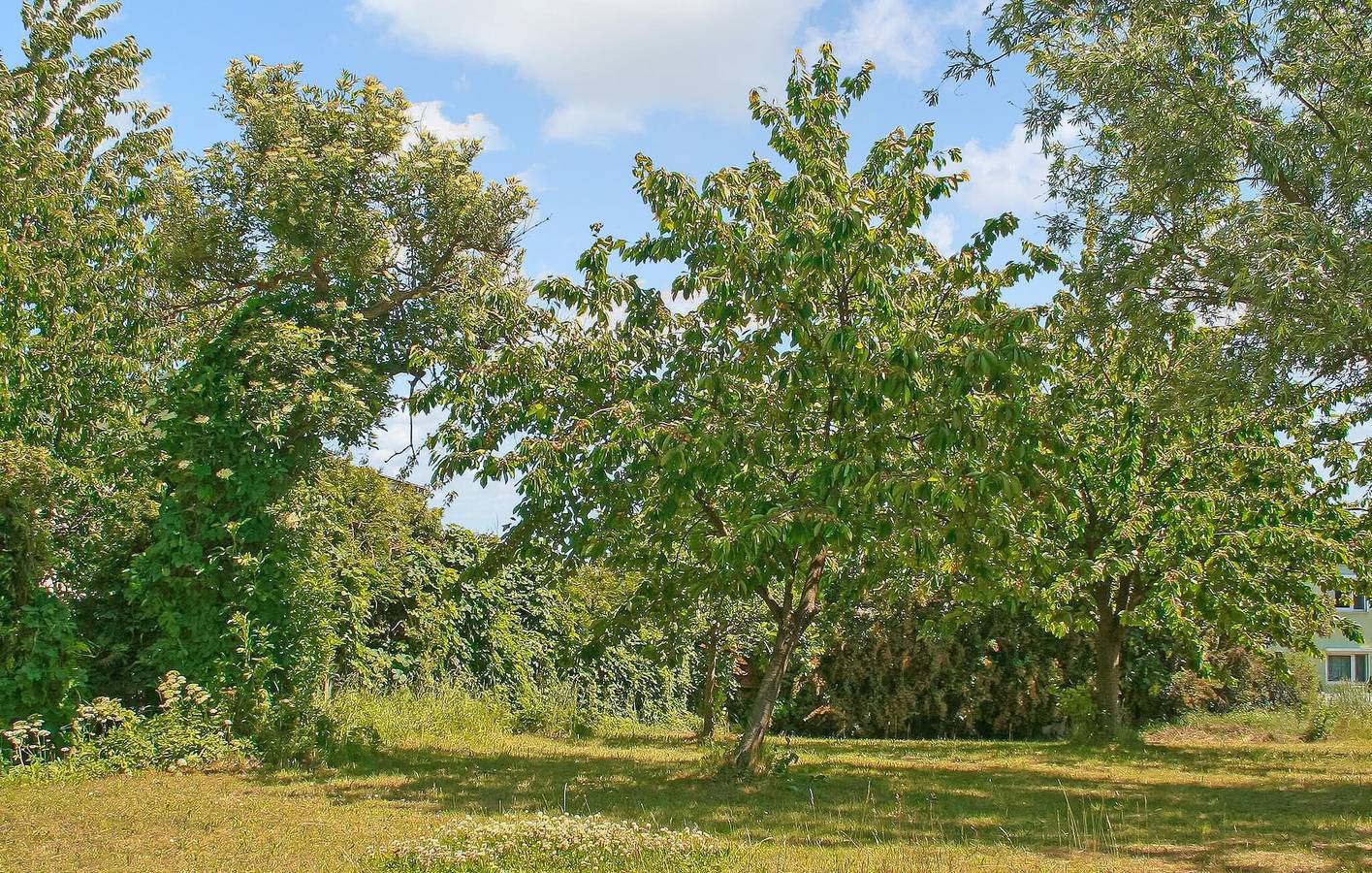 Apartamento vacacional entero, Retiro junto a la playa con comodidades modernas, a 2 km de la playa in Mirow, Mecklenburg-Strelitz