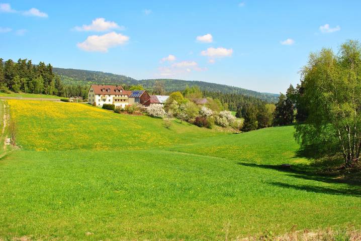 Ferienwohnung für 4 Personen, mit Balkon und Balkon/Terrasse sowie Garten in Friedenfels