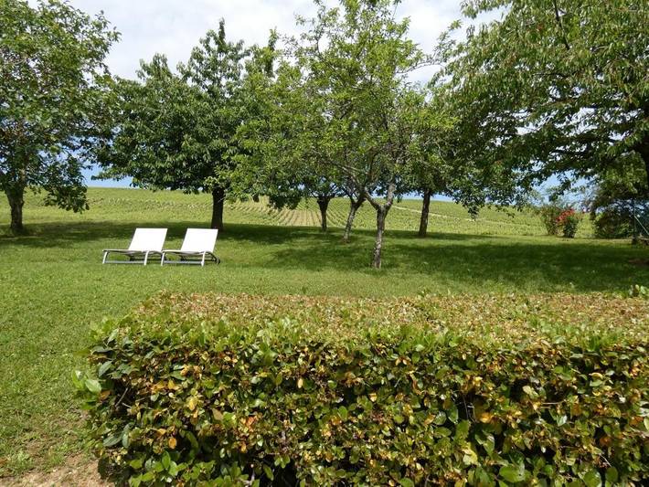 Location de vacances pour 6 personnes, avec vue et jardin à Verdigny - 3