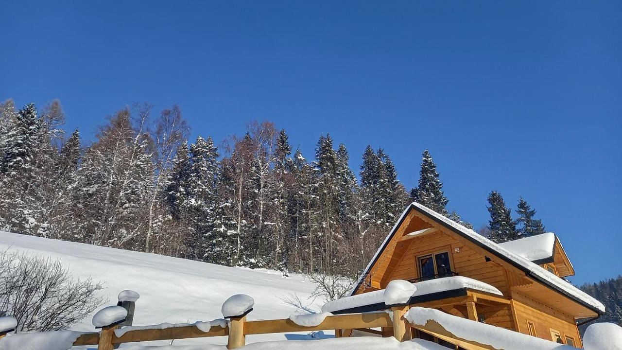 Domek pod Groniem in Karpaty (Polska)