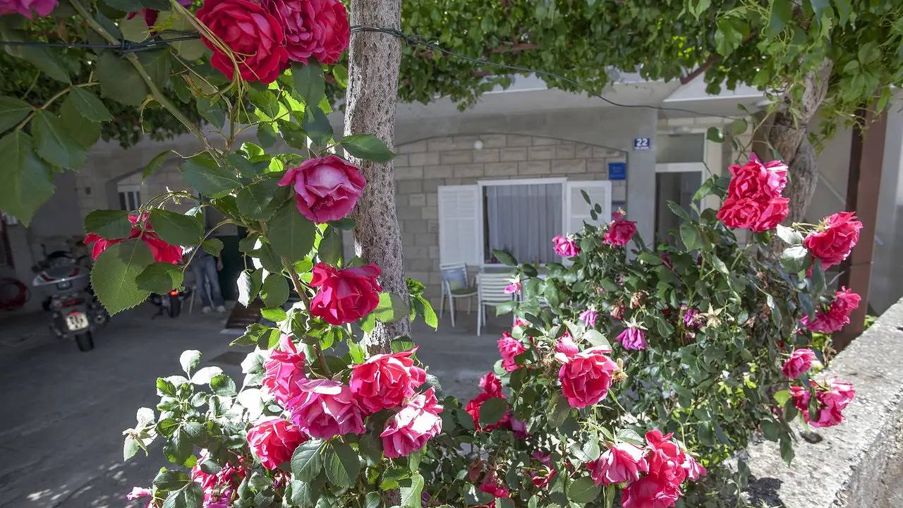 Ganzes Studio, Studio für 3 Personen (16 m²) in Tucepi in Tucepi, Makarska Riviera
