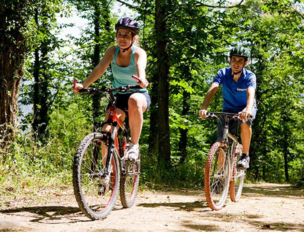 Apartamento entero, La Villa Don Quijote in Cuenca, Provincia de Cuenca