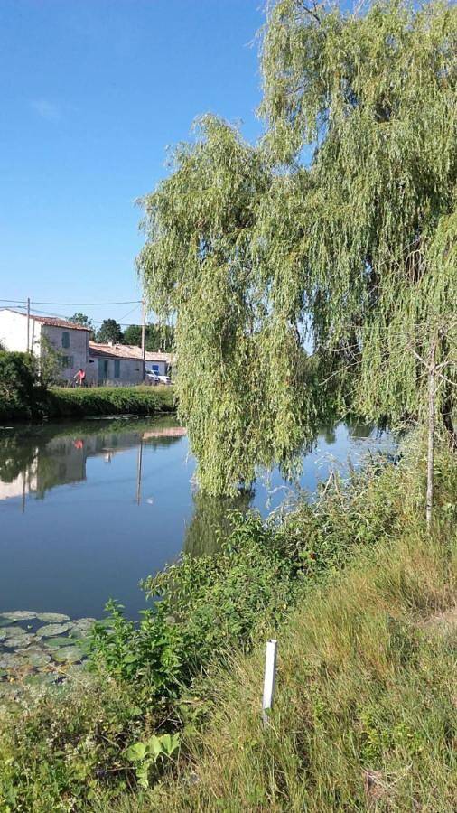 Location de vacances pour 6 personnes, avec Terrasse ainsi que Jardin et Vue à Marans