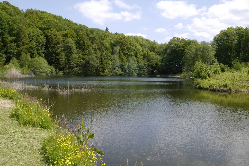 Gite La Chapelle, pleine nature in La Rosière (Haute-Saône), Parc naturel régional des Ballons des Vosges
