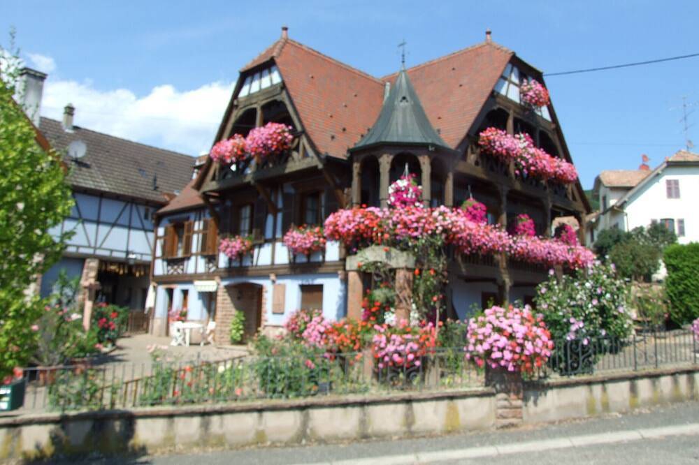 Appartement entier, Gîte  \"Au Vigneron \"  - Spa - 3 Epis in Triembach-au-Val, Région de Sélestat-Erstein