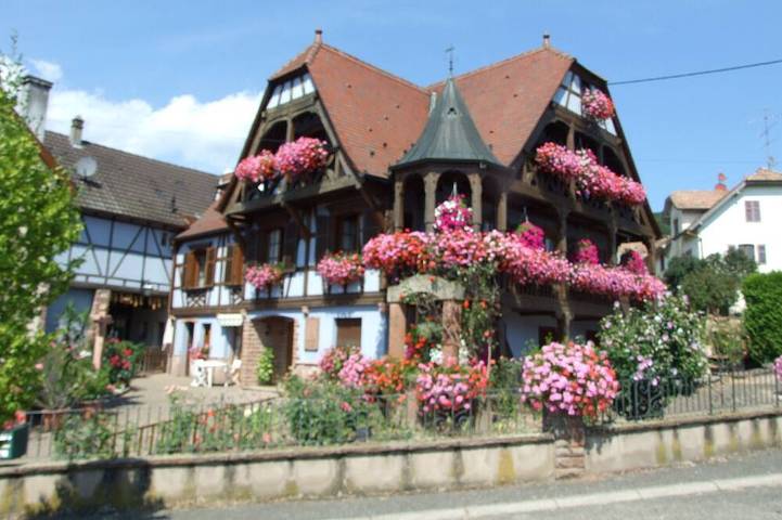 Gîte pour 3 personnes, avec terrasse ainsi que jacuzzi et jardin dans Triembach-au-Val