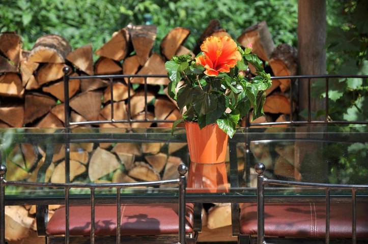 Ferienwohnung für 5 Personen, mit Garten und Ausblick, mit Haustier in Ferch - 3