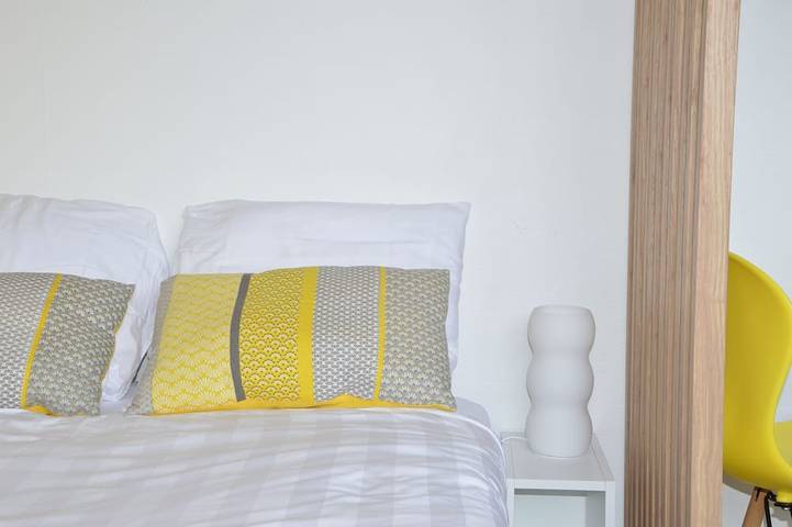 Ganze Wohnung, Le Delta * Centre/Chu * private parking * Netflix / Wifi in Poitiers, Vienne