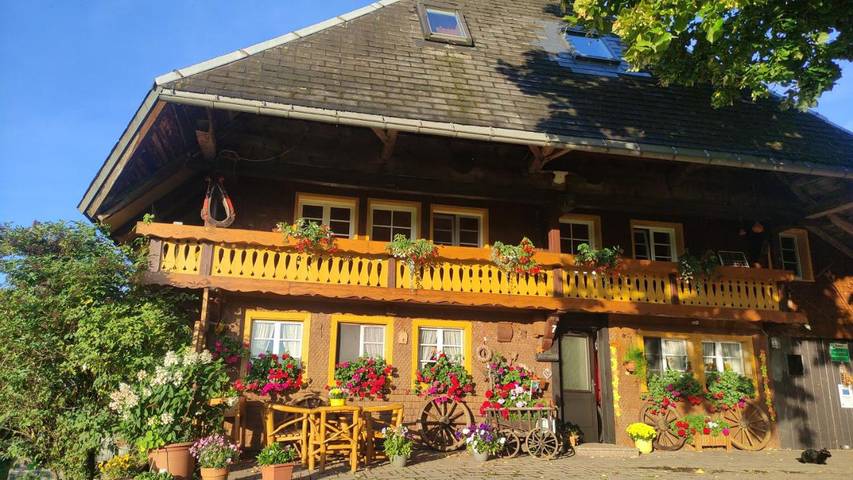 Ferienwohnung für 7 Personen, mit Balkon und Terrasse sowie Garten und Ausblick in Hofsgrund