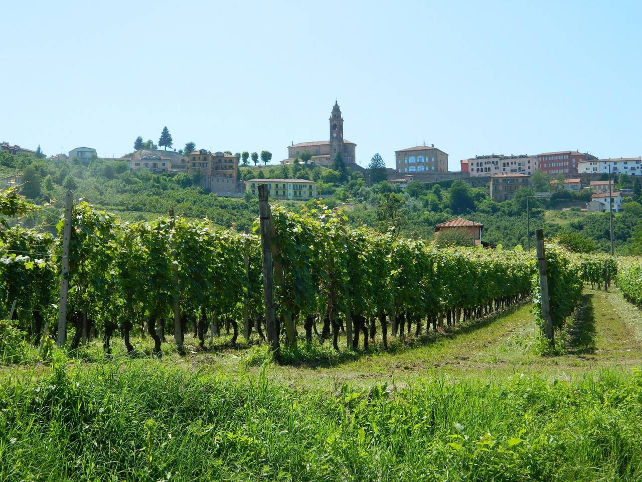 Haus "Badinot" mit privatem Garten und Grill in Diano d'Alba, Langhe