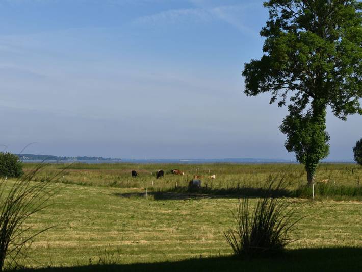Ferienhaus für 4 Personen, mit Terrasse in Niesgrau - 2