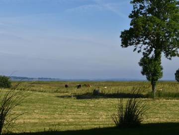 Ferienhaus für 4 Personen in Niesgrau, Schleswig-Flensburg, Bild 1