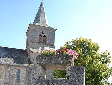 Location de vacances pour 14 personnes, avec vue et jardin à Espeyrac - 3