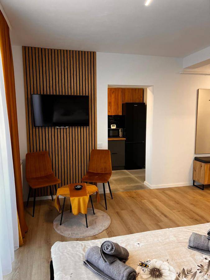 Gîte pour 2 personnes, avec balcon dans Baia Mare - 2