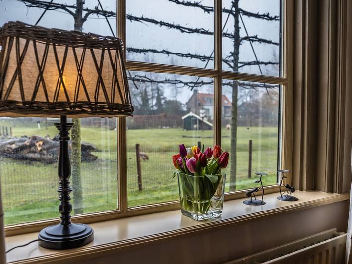 Ferienhaus für 4 Personen, mit Garten in Vrouwenpolder - 2