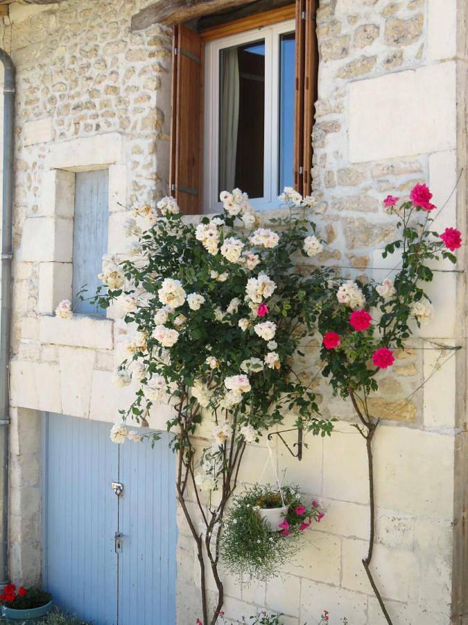 Location de vacances pour 4 personnes, avec jardin et vue à Bourg-Charente - 2