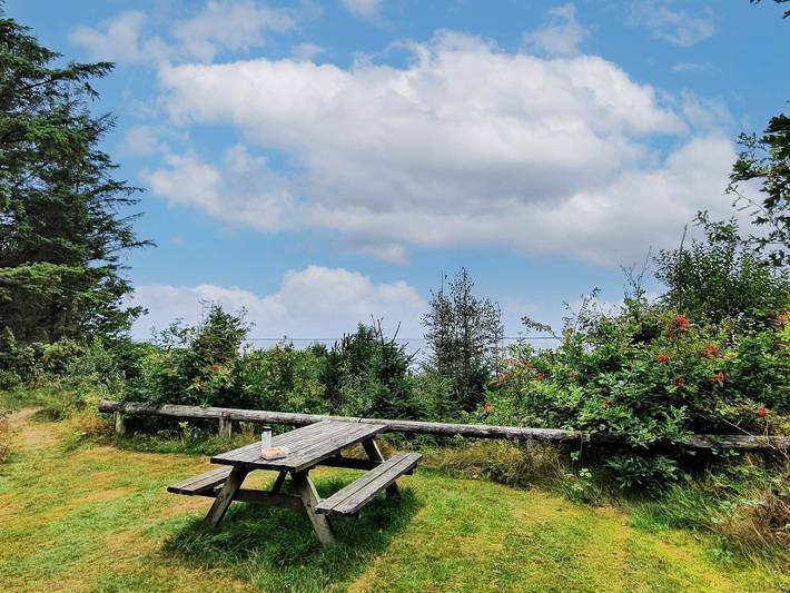 Ferienhaus für 6 Personen, mit Garten und Terrasse, kinderfreundlich in Nørhede Vest - 4