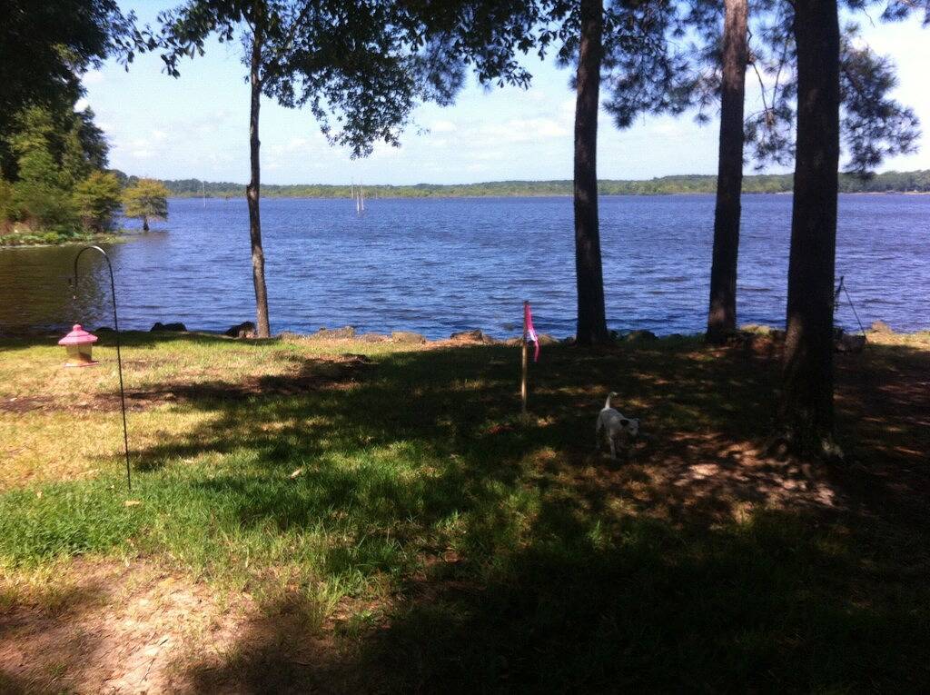 Fischertraum auf Six Mile Bayou in Toledo Bend Reservoir