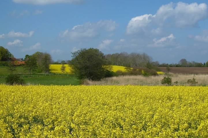 Bauernhof für 2 Personen, mit Garten in Gelting - 3
