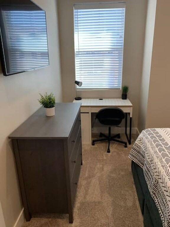 Ocotillo Springs #15 in Santa Clara (UT), Zion Nationalpark