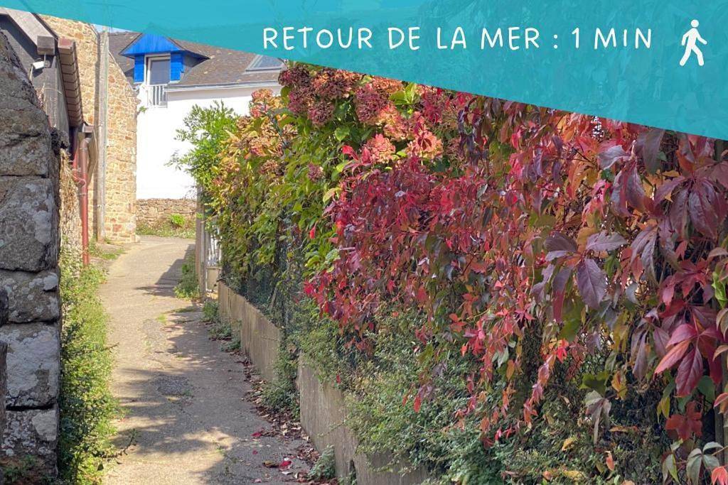 Appartement entier, One-Bedroom Apartment in Larmor-Baden, Côte des Mégalithes