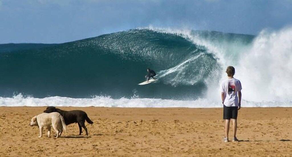 Sandy Corner - Strand / am See in Avoca Beach, New South Wales