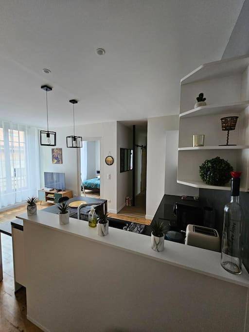 Appartement entier, Urban Jungle - centre historique - calme absolu in Pau, Béarn