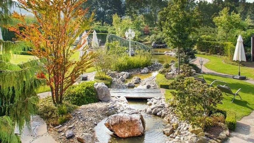Gîte pour 2 personnes, avec jardin et piscine, animaux acceptés dans Ibbenburen - 4