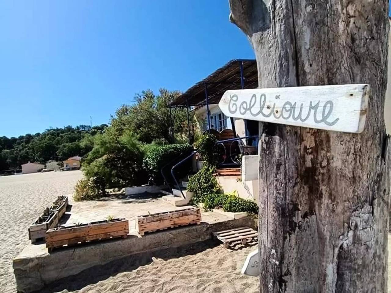 Ganze Wohnung, 1 Zimmer 4 Personen in La Côte Vermeille, Argelès-sur-Mer
