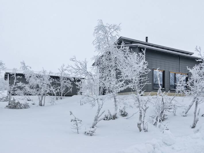 Villa viima in Lappland