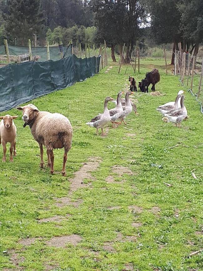 Apartamento de férias inteiro, Granja Mg in Bombarral, Leiria distrito