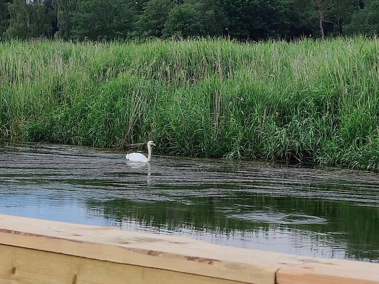 5 person ferie hjemme i Ans By-By Traum in Silkeborg