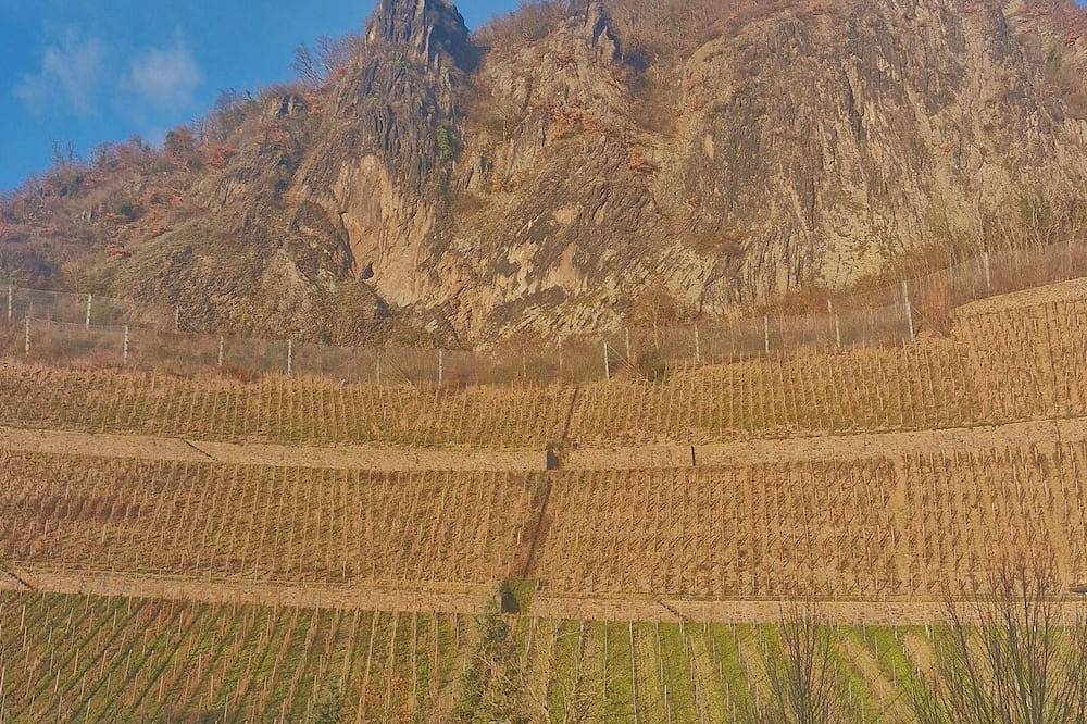 Entire apartment, Historic villa with a view of Drachenfels in Bad Honnef, Siebengebirge