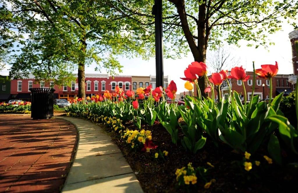 Tᕼe ᗰᗩi ᑎ ᒪ Oᗪge • Moderner Komfort von Trails & Museum in Bentonville, Ozark Mountains