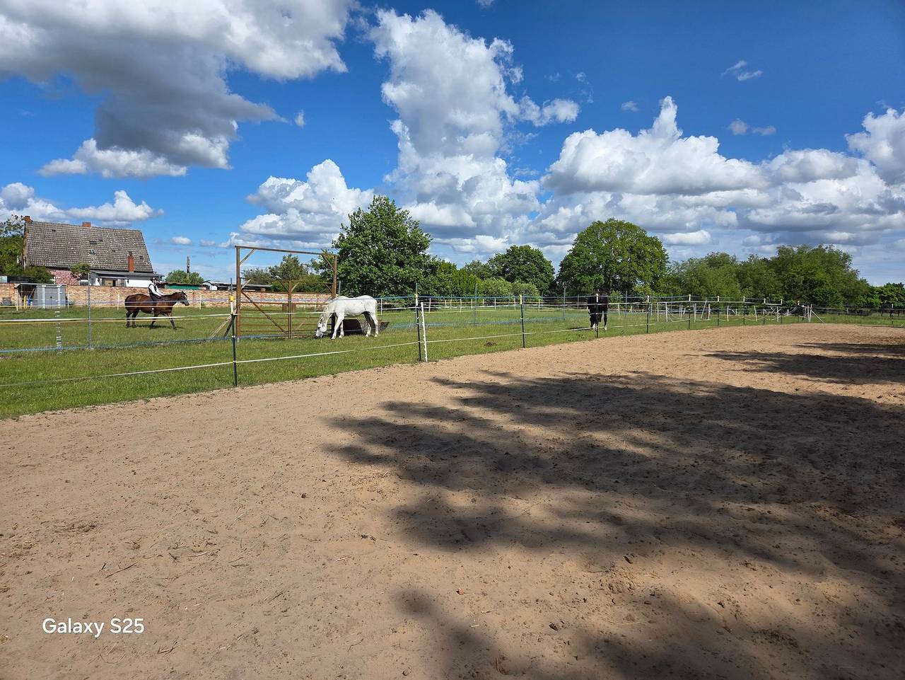 Ganze Ferienwohnung, Ferienwohnung Mary´s Farm (Pferde willkommen in Ferdinandshof, Vorpommern Greifswald