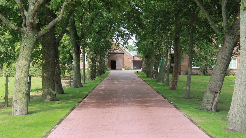 Bauernhof für 4 Personen, mit Garten in Landkreis Aurich - 3