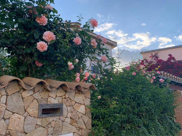 Location de vacances pour 6 personnes, avec jardin dans Dolianova - 2