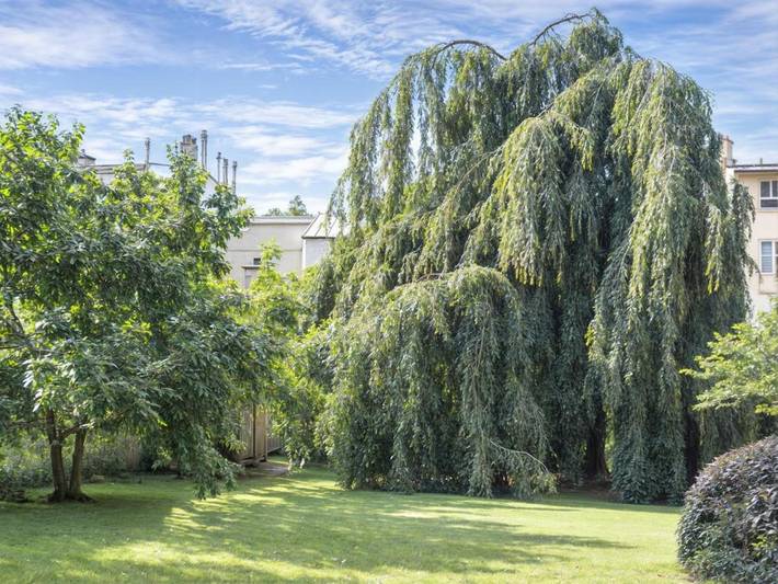 Gîte pour 2 personnes, avec vue et jardin à Versailles - 3