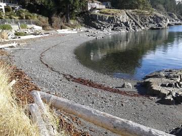 Cottage Rentals for 6 Guests in Nanaimo District, Picture 3