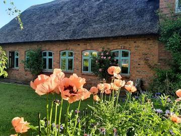Ferienwohnung für 5 Personen in Braderup, Grünes Binnenland, Bild 1