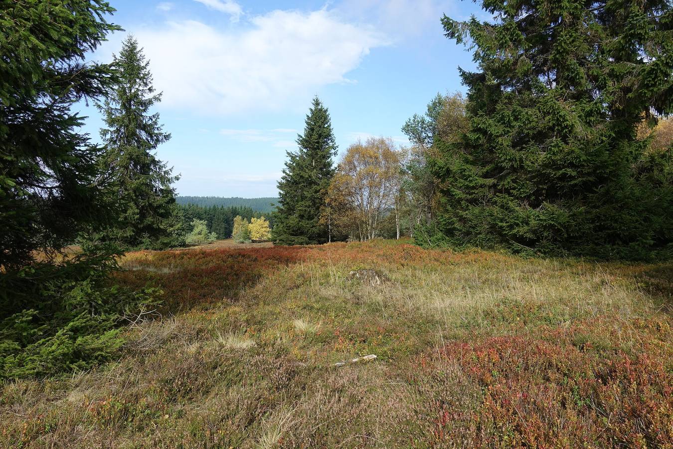 Ganze Wohnung, Ferienwohnung Hankeln - Ferienwohnung Hankeln - liebevoll renoviert mit Boxspringbett in Niedersfeld, die Mittelgebirge