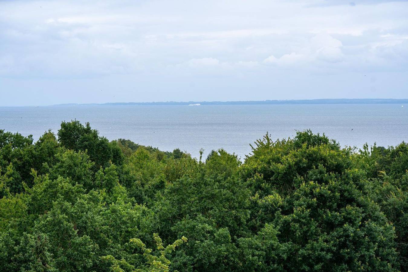 Ganze Wohnung, Ihr smartes Meerlick-Apartment in Laufweite zur Ostsee in Sierksdorf, Ostholstein