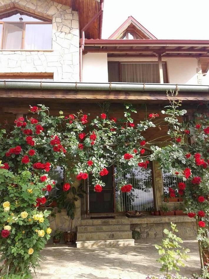 Gîte pour 2 personnes, avec jardin et terrasse dans Stara Zagora - 4