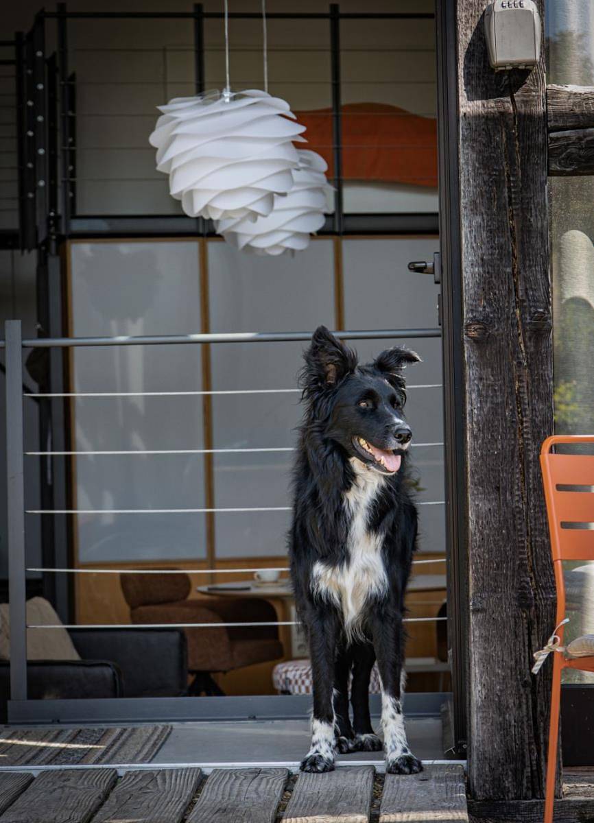 Entire apartment, Refugio - umzäuntem Garten, Kamin, große Fenster, offener Raum, Entspannung in Rot am See, Hohenlohe