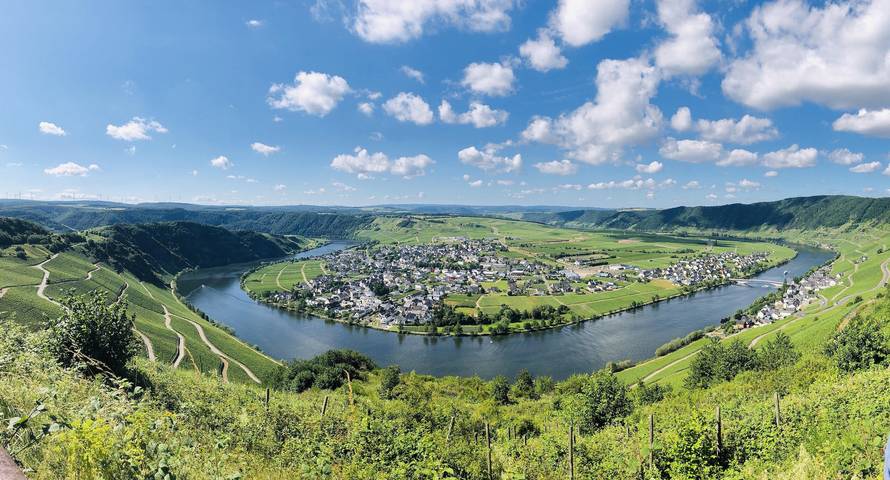 Ferienwohnung für 2 Personen, mit Terrasse und Garten in Piesport