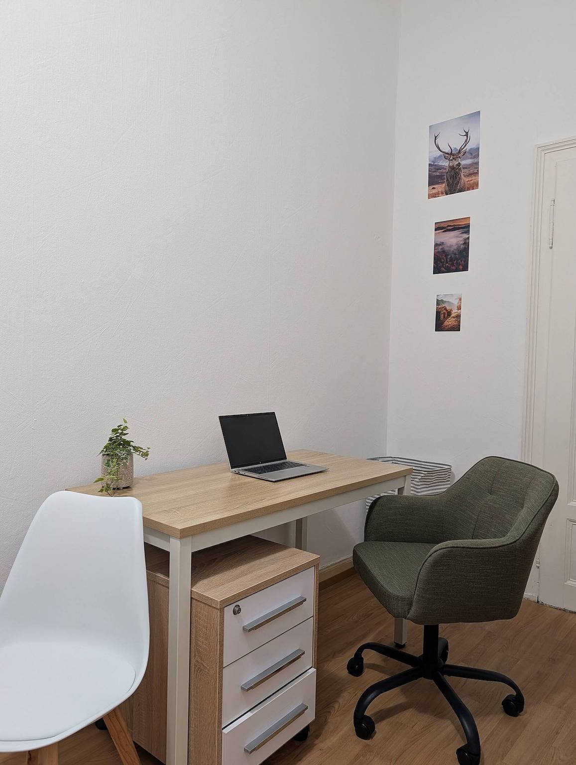 Ganze Wohnung, Privatzimmer in einer gemütlichen Wohnung in Fürth, Franken