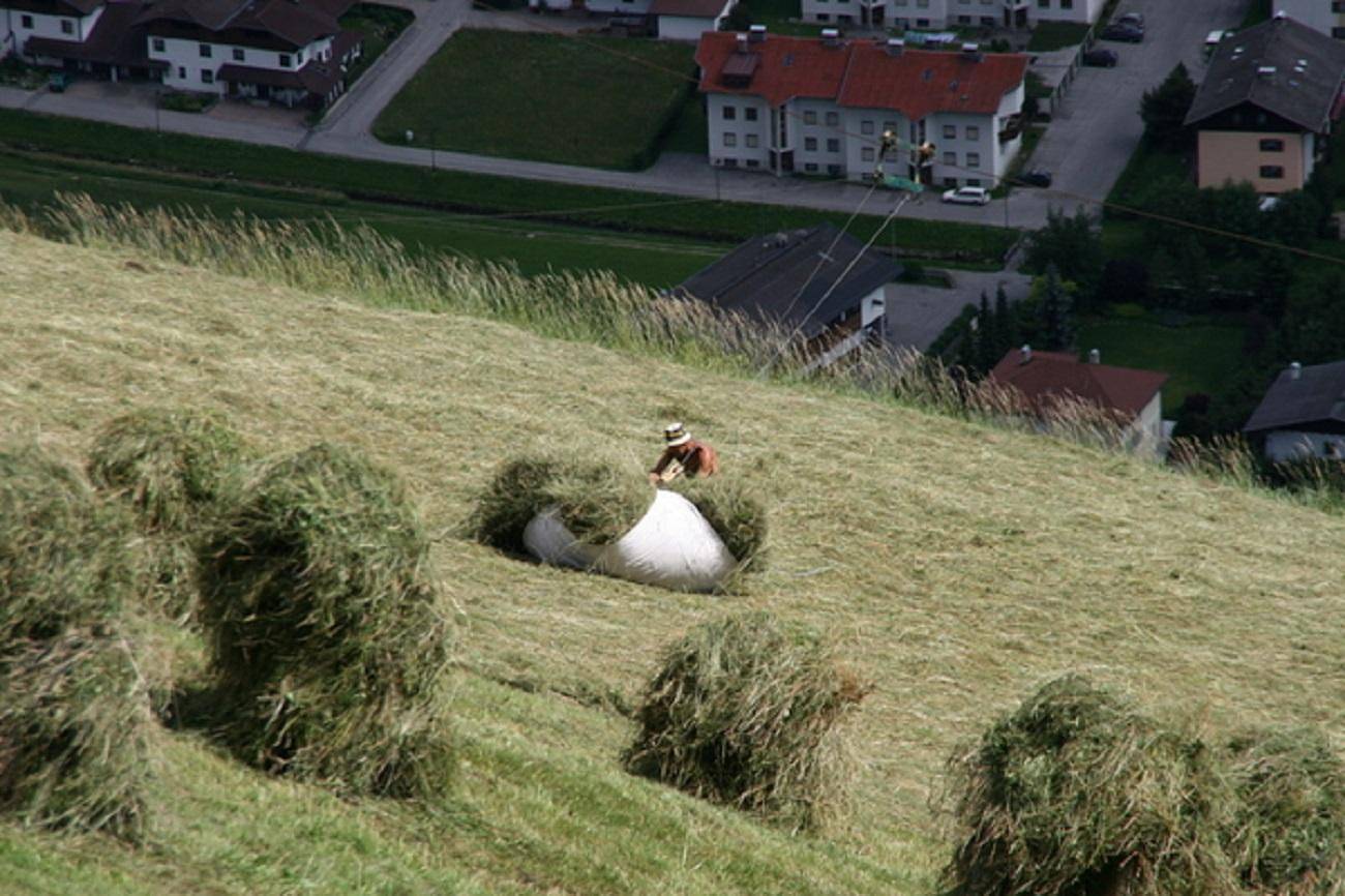 Ganze Ferienwohnung, Schuistlhof in Sillian, Osttirol