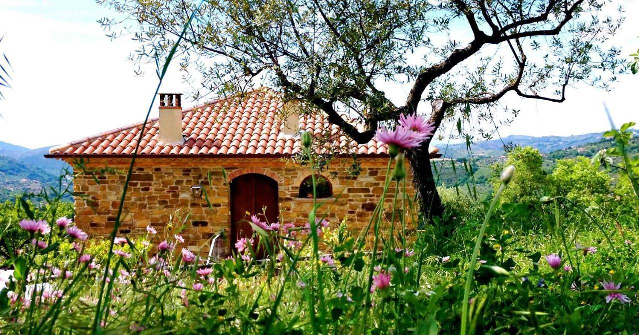 Villa Nigro in Laureana Cilento, Cilento Coast