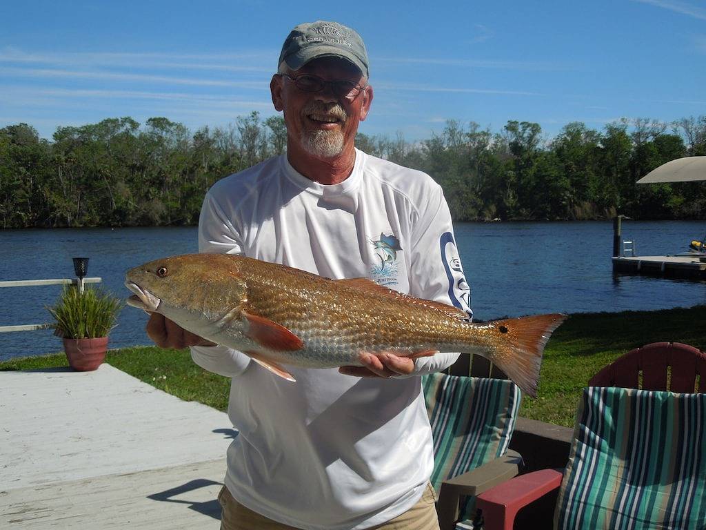 Homosassa Riverfront Retreat - Relax & Enjoy! in Homosassa, Citrus County